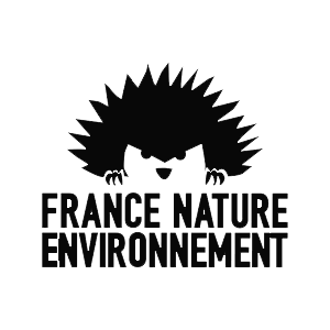Logo-FNE.png